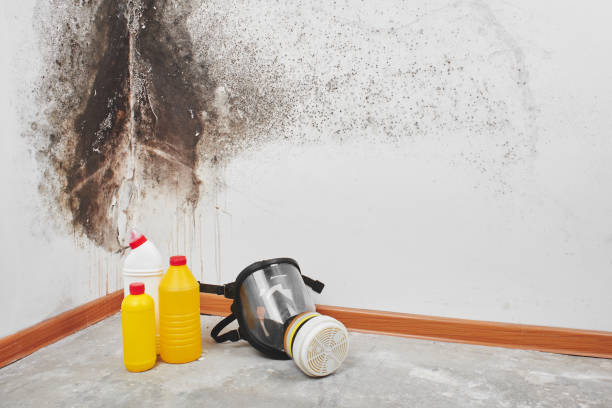 Best Water Damage Restoration  in Union City, PA