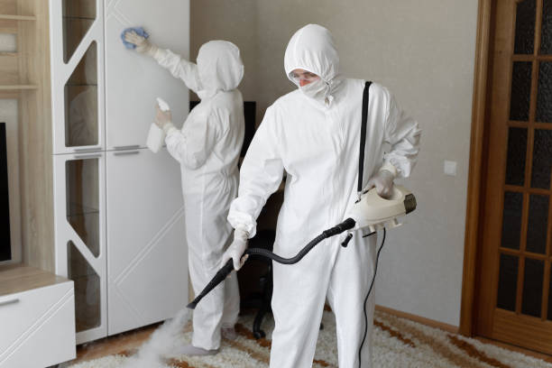 Mold Testing and Removal in Union City, PA